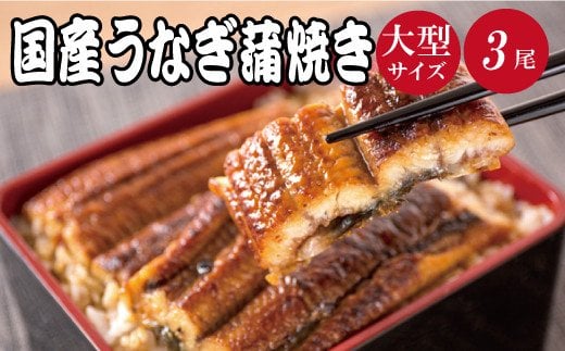 大型サイズ ふっくら柔らか 国産うなぎ蒲焼き 3尾【順次発送】 1009430 - 和歌山県かつらぎ町