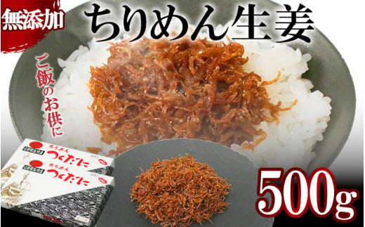 ちりめん 生姜 500g 冷凍 無添加 しらす 佃煮  しらす ごはん 米 おつまみ しらす しらすごはん お茶漬け おにぎり 海鮮 小魚 丼 お弁当 朝食 しらすおにぎり こめ 南知多町産しらす 魚 新鮮しらす おかず 海産物 さかな しらす 海の幸 愛知県産 南知多町産 しらす 人気 おすすめ つくだ煮南知多町 つくだ煮愛知県 愛知県 南知多町