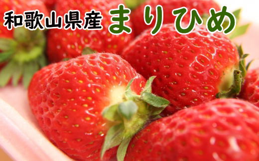 和歌山県産ブランドいちご「まりひめ」約300g×2パック入り【2026年3月上旬～3月下旬順次発送】【TM99】 1292389 - 和歌山県かつらぎ町