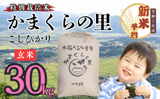 【先行予約】<令和７年産新米> 特別栽培米 「かまくらの里コシヒカリ」 玄米 30㎏ (7-3） 2001470 - 長野県飯山市