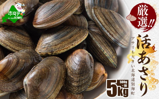 北海道 野付産 大粒 天然 活あさり 5kg前後【UY0000019】（株式会社 海好）（北海道 別海町 あさり アサリ 貝 大粒 ふるさと納税 ふるさとチョイス ふるさと納税 仕組み キャンペーン 限度額 計算 ランキング やり方 シミュレーション チョイス チョイスマイル ）