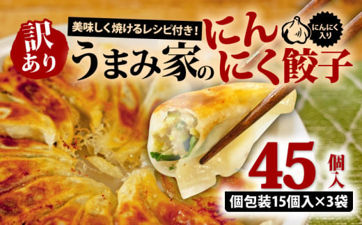 訳あり 餃子 にんにく 45個 冷凍 小分け レシピ付き 惣菜 中華 ぎょうざ ギョーザ おかず つまみ 焼くだけ 簡単調理 ご飯のお供 便利 加工食品 弁当 おつまみ 晩ごはん にんにく餃子 埼玉県 羽生市 うまみ家 1999542 - 埼玉県羽生市