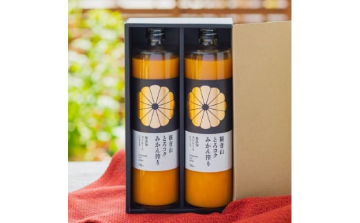 観音山みかんジュース「とろコク搾り」 720ml × 2本 ギフトボックス入り【ふるさと納税】【30営業日以内に発送予定】 981155 - 和歌山県かつらぎ町