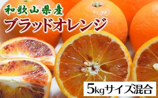 【希少・高級柑橘】国産濃厚ブラッドオレンジ「タロッコ種」約5kg【TM149】【2026年4月上旬～2026年4月下旬頃順次発送予定】 1455860 - 和歌山県かつらぎ町