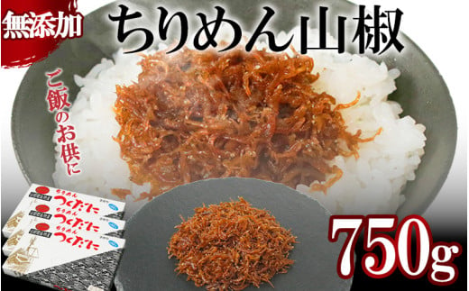 ちりめん 山椒 750g 冷凍 無添加 しらす 佃煮  しらす ごはん 米 おつまみ しらす しらすごはん お茶漬け おにぎり 海鮮 小魚 丼 お弁当 朝食 しらすおにぎり こめ 南知多町産しらす 魚 新鮮しらす おかず 海産物 さかな しらす 海の幸 愛知県産 南知多町産 しらす 人気 おすすめ つくだ煮南知多町 つくだ煮愛知県 愛知県 南知多町