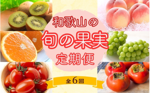 和歌山の旬の果実を 奇数月にお届け全6回定期便【TM49】 930158 - 和歌山県かつらぎ町