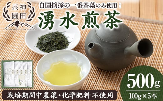 y312 《数量限定》鹿児島県湧水町産！栽培期間中農薬・化学肥料不使用！湧水煎茶(100g×5本) 国産 九州産 鹿児島県産 茶葉 お茶 茶 日本茶 緑茶 煎茶 一番茶 湧水茶 浅蒸し茶 ギフト 贈答 プレゼント 贈り物 令和7年産 新茶 【神田茶園】 403548 - 鹿児島県湧水町