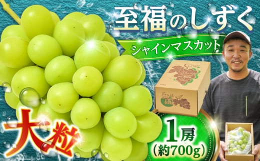 【先行予約・9月発送】 日田産シャインマスカット 1房 約700g　〜至福のしずく〜　日田市 / 松岡果樹園 [AREJ001]