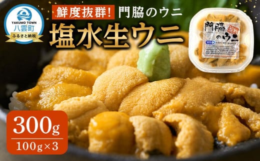 【先行予約】鮮度抜群！「門脇のウニ」北海道産 塩水生ウニ 3パック(1パック100g入り)  (2025年5月中旬発送開始予定)【 ウニ うに 雲丹 生ウニ 海産物 魚介 魚介類 食品 グルメ お取り寄せ お取り寄せグルメ 人気 おすすめ  八雲町 北海道   】 1527967 - 北海道八雲町