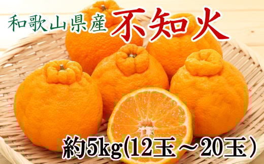 和歌山県産不知火約5kg（12玉～20玉おまかせ）2L～5Lサイズ【2026年2月下旬～2026年4月中旬頃に順次発送予定】【TM131】【tec955】 1293570 - 和歌山県かつらぎ町