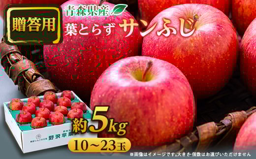 ＜贈答用＞ 青森県産りんご「葉とらずサンふじ」約5kg【1466367】 1141306 - 青森県青森市