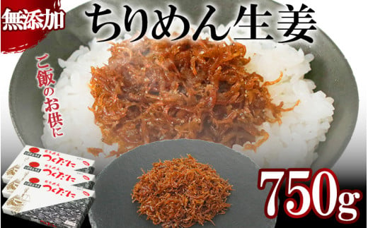 ちりめん 生姜 750g 冷凍 無添加 しらす 佃煮  しらす ごはん 米 おつまみ しらす しらすごはん お茶漬け おにぎり 海鮮 小魚 丼 お弁当 朝食 しらすおにぎり こめ 南知多町産しらす 魚 新鮮しらす おかず 海産物 さかな しらす 海の幸 愛知県産 南知多町産 しらす 人気 おすすめ つくだ煮南知多町 つくだ煮愛知県 愛知県 南知多町