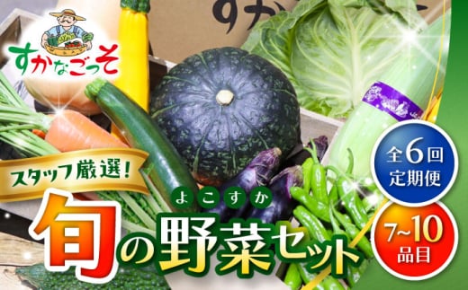 【全6回定期便】よこすか野菜セット すかなボックス 【JAよこすか葉山】 [ASCB003]