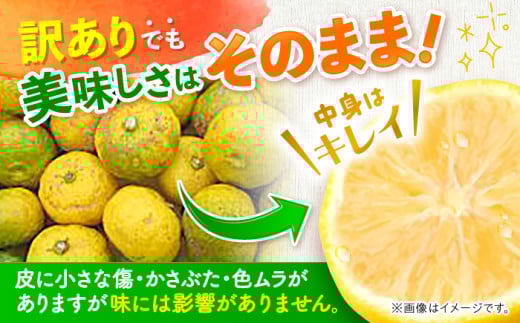 訳ありの理由画像