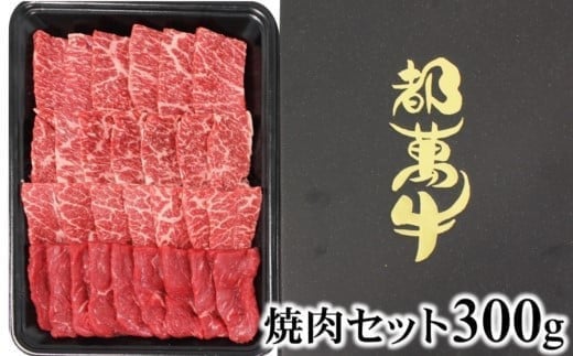 [母の日ギフト]都萬牛 牛肉 黒毛和牛焼肉 300g牛肉 焼肉[1-35]