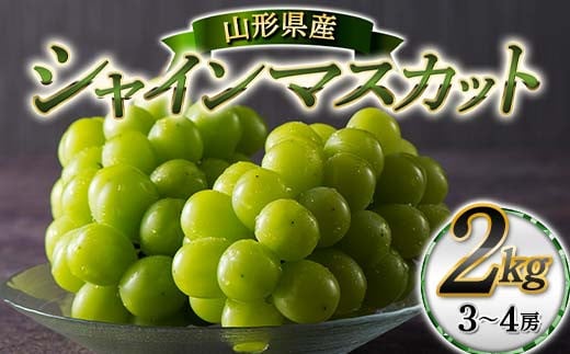 【本田農園】≪2025年先行予約≫山形県産 大粒ぶどう シャインマスカット 約2kg（3～4 房） 秀品 2025年9月中旬から順次発送 F2Y-6148