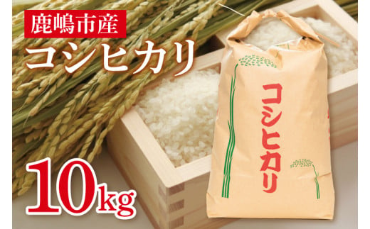 【先行予約】コシヒカリ１０kg　鹿嶋市産【こしひかり 茨城県 鹿嶋市 30000円以内】（KDS-2）