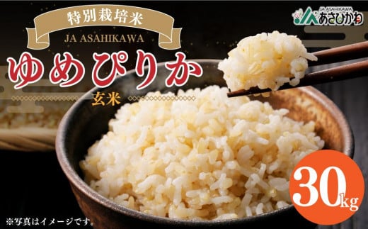 特別栽培米 ゆめぴりか 玄米 30kg 令和6年産 【ご飯 ごはん 米 お米 北海道産 旬  特A 旭川市 北海道 】_00236 918074 - 北海道旭川市