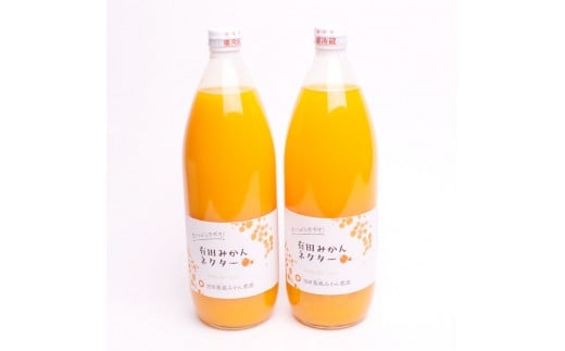 とろり みかんネクター 1000ml×2本無添加 100% ストレートジュース 有田みかん ジュース 【順次発送】 【IKE130】 825435 - 和歌山県かつらぎ町