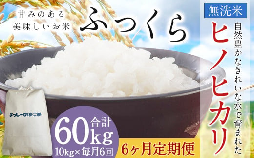 【6回定期便】令和6年産 熊本 益城町 無洗米 ヒノヒカリ 10kg×6回 合計60kg 米 お米