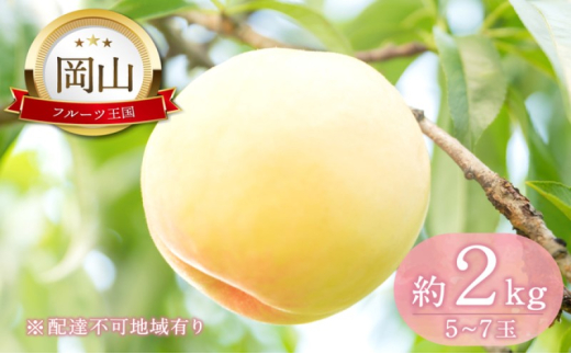 桃 【2026年 先行予約】 晴れの国 おかやま の 白桃 2kg(5玉～7玉) もも モモ 岡山県産 国産 フルーツ 果物 ギフト [№5735-2129]