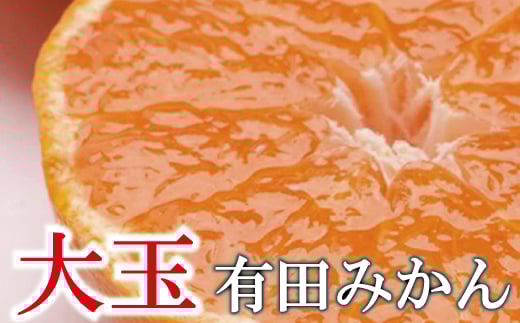 【訳あり・ご家庭用】大きな 有田みかん 約5kg+150g（傷み補償分） 訳あり わけあり 光センサー選果 【11月より発送】【IKE177】 468262 - 和歌山県かつらぎ町