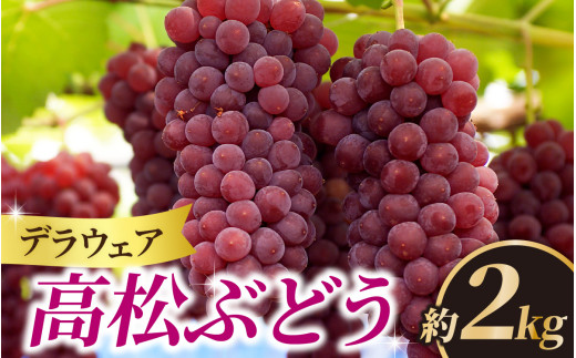 ＜2025年収穫分 先行予約＞ 高松ぶどう デラウェア 約2kg入り（およそ9～10房） 1箱 ｜ デラウエア デラウェア ぶどう ブドウ 葡萄 フルーツ 果物 果実 くだもの 人気 種なし 種無し グレープ 石川産 石川県産 かほく市産 夏 714915 - 石川県かほく市