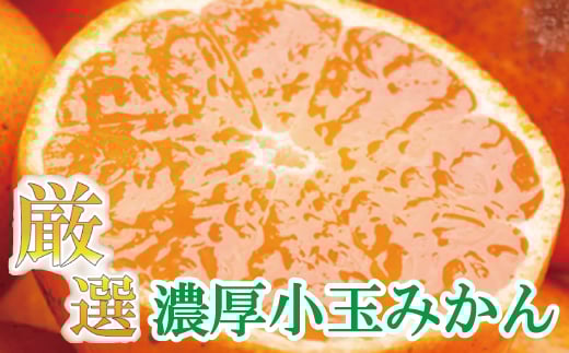 厳選 小玉な 有田みかん 約5kg+150g（傷み補償分） 光センサー選果 【11月より発送】 【IKE188】 468308 - 和歌山県かつらぎ町
