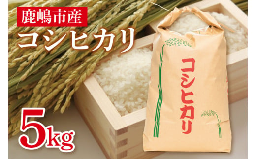 【先行予約】コシヒカリ５kg　鹿嶋市産【こしひかり 茨城県 鹿嶋市 15000円以内】（KDS-1）