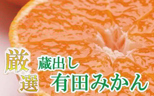 厳選 蔵出みかん 約3kg+90g（傷み補償分） 【2025年1月より発送】【IKE199】 468270 - 和歌山県かつらぎ町