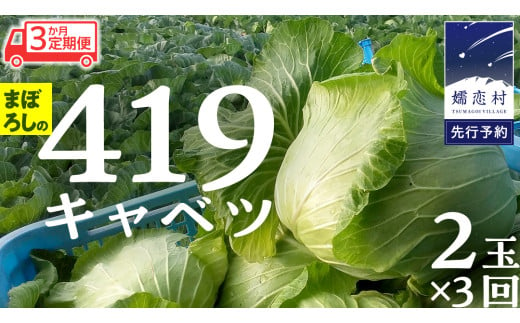 【 2025年 7月中旬 発送開始 】 《 3か月 定期便 》まぼろしの419キャベツ 2玉 3カ月 きゃべつ 嬬恋村産キャベツ 羽生田売店 幻のキャベツ419 産地直送 期間限定 先行予約 人気 朝採り 通販 お取り寄せ 関東 群馬 出荷時期限定 先行受付 [AL015tu]  1996896 - 群馬県嬬恋村