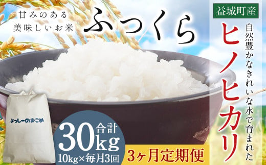 【3回定期便】令和6年産 熊本 益城町 精米 ヒノヒカリ 10kg×3回 合計30kg 米 お米