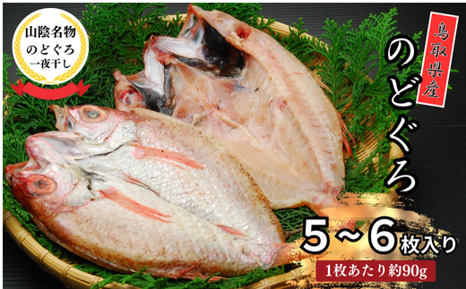 KI03:鳥取県産のどぐろ一夜干し(小5~6枚) 1443205 - 鳥取県日吉津村