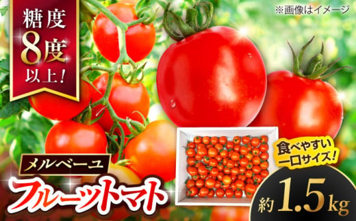 高知県産 フルーツトマト メルベーユ 約1.5kg / 高糖度 トマト とまと フルーツトマト 野菜 [株式会社 四国健商] [ATAF071]