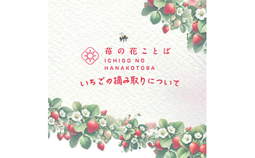 いちご摘み取り3kgまで体験券　お土産付き いちご イチゴ 苺 加工品 お取り寄せ 新潟 1997405 - 新潟県上越市