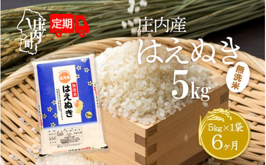 ＜5月中旬発送＞庄内米6か月定期便！はえぬき無洗米 5kg（入金期限：2025.4.25）