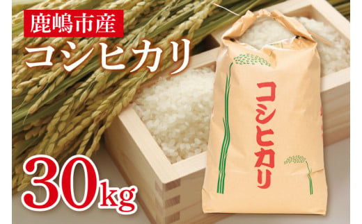 【先行予約】コシヒカリ３０kg　鹿嶋市産【こしひかり 茨城県 鹿嶋市 75000円以内】（KDS-3）