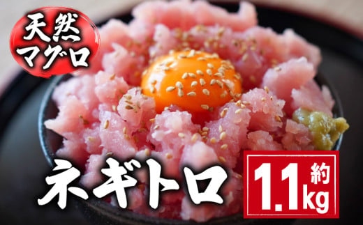 天然マグロ ネギトロ 約1.1kg 10,000円 国産 まぐろ 鮪 刺身 赤身 肉 ビンチョウマグロ ビンチョウ メバチマグロ 鉢マグロ メバチ キハダマグロ キハダ ネギトロ ツナ マグロ漬け マグロ 刺身 カルパッチョ まぐろ丼 まぐろ漬け丼 魚 惣菜 海鮮丼 魚介類 食べきりサイズ 冷凍 小分け 個包装 お取り寄せ グルメ ギフト プレゼント 贈答 送料無料 千葉県 銚子市 和田水産