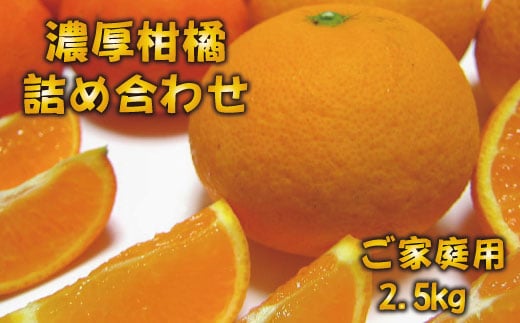 【訳あり・ご家庭用】旬の 柑橘 詰め合わせ セット 約2.5kg【先行予約】【農家直送】【和歌山県産】【2025年1月中旬～4月下旬発送】 939126 - 和歌山県かつらぎ町