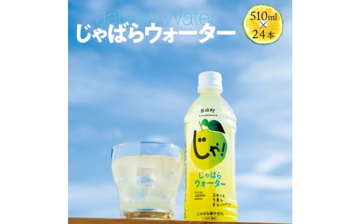 北山村のじゃばらウォーター　510ml×1ケース（24本入り）
