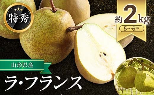 【令和6年産先行予約】 JA ラ・フランス 約2kg (5～6玉 特秀) 《令和6年11月上旬～12月上旬発送》 『JA山形おきたま』 洋梨 果物 フルーツ 山形県 南陽市 [1159] 621207 - 山形県南陽市