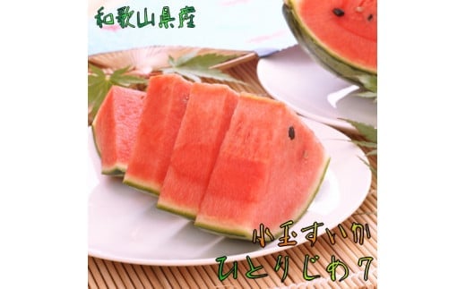 【厳選】小玉すいか『ひとりじめ７』Ｍサイズ / 2玉入り【農家直送】【大人気】【和歌山県産】【発送は2024年6月上旬～6月下旬（順次発送予定）】【先行予約】 933299 - 和歌山県かつらぎ町