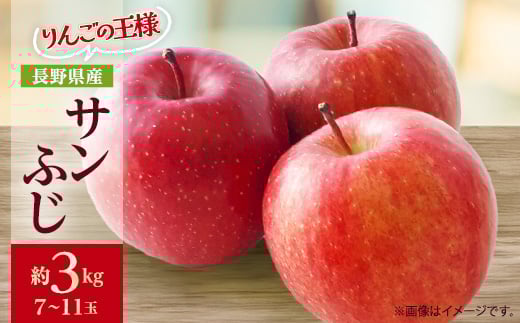 りんごの王様　長野県産 りんご　サンふじ　約3kg(7～11玉程度)_ りんご 林檎 果物 くだもの フルーツ サンふじ 長野県 産地直送 送料無料 お取り寄せ ギフト 贈答 プレゼント 信州 【1541945】 1464621 - 長野県中野市