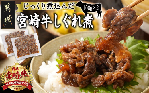 じっくり煮込んだ!宮崎牛しぐれ煮_AA-7708_(都城市) 宮崎牛 しぐれ煮 100g×2パック 真空 ご飯のお供 お酒の肴 お弁当 湯せん