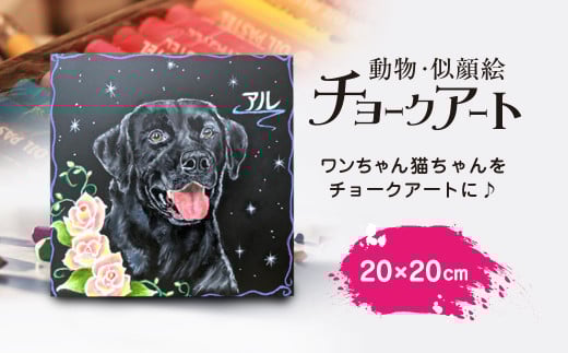 手書き動物似顔絵チョークアート [20×20cm]　ふるさと納税 看板 手書き 犬 猫 ワンちゃん ねこちゃん ペット 動物 ハンドメイド チョーク アート インテリア 京都府 福知山市 FCEN001