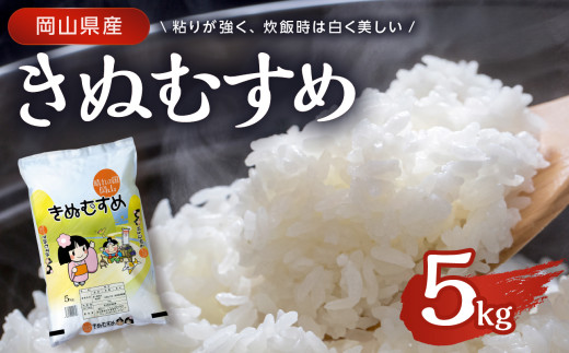 【天満屋選定品】　岡山県産　きぬむすめ5kg 【  白米 国産 岡山県産米 きぬむすめ お米 ご飯 白飯 全国配送可能  】 2006188 - 岡山県備前市