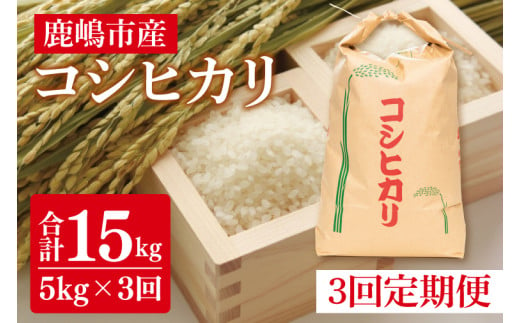 【先行予約】【定期便】コシヒカリ5kg×3回　鹿嶋市産【こしひかり 茨城県 鹿嶋市 15000円以内】（KDS-4）