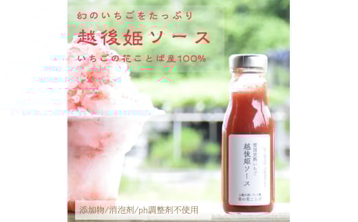 越後姫ソース（大瓶）　1瓶 いちご イチゴ 苺 加工品 お取り寄せ 新潟 1997392 - 新潟県上越市