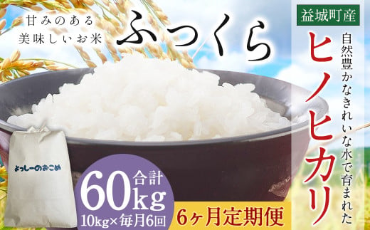 【6回定期便】令和6年産 熊本 益城町 精米 ヒノヒカリ 10kg×6回 合計60kg 米 お米