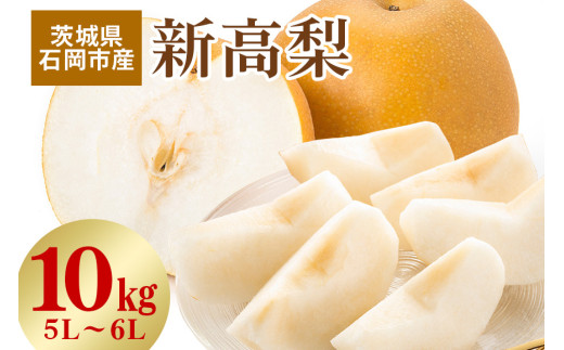 【 2025年 先行予約 】 新高梨　5L～6L（二段10kg）梨 約 16玉 ～ 20玉 品種 新高 にいたか なし ナシ 果物 フルーツ 大玉 6L 5L サイズ 10キロ 9月 10月 発送 秋 旬 産地直送 農家直送 産直  国産 くだもの 甘い 糖度 茨城県産 茨城県 石岡市 (G208) 791544 - 茨城県石岡市